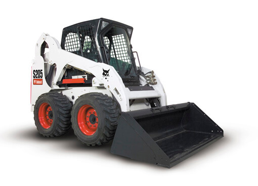 bobcat